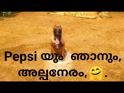 Thumbnail of Dog Training Suraksha’s featured dog video